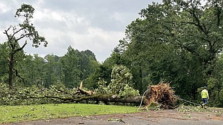 A large tree lies across Shady Grove Road at New Hope Missionary Baptist Church Wednesday morning following a possible tornado overnight. (The Sentinel-Record/Beth Reed)